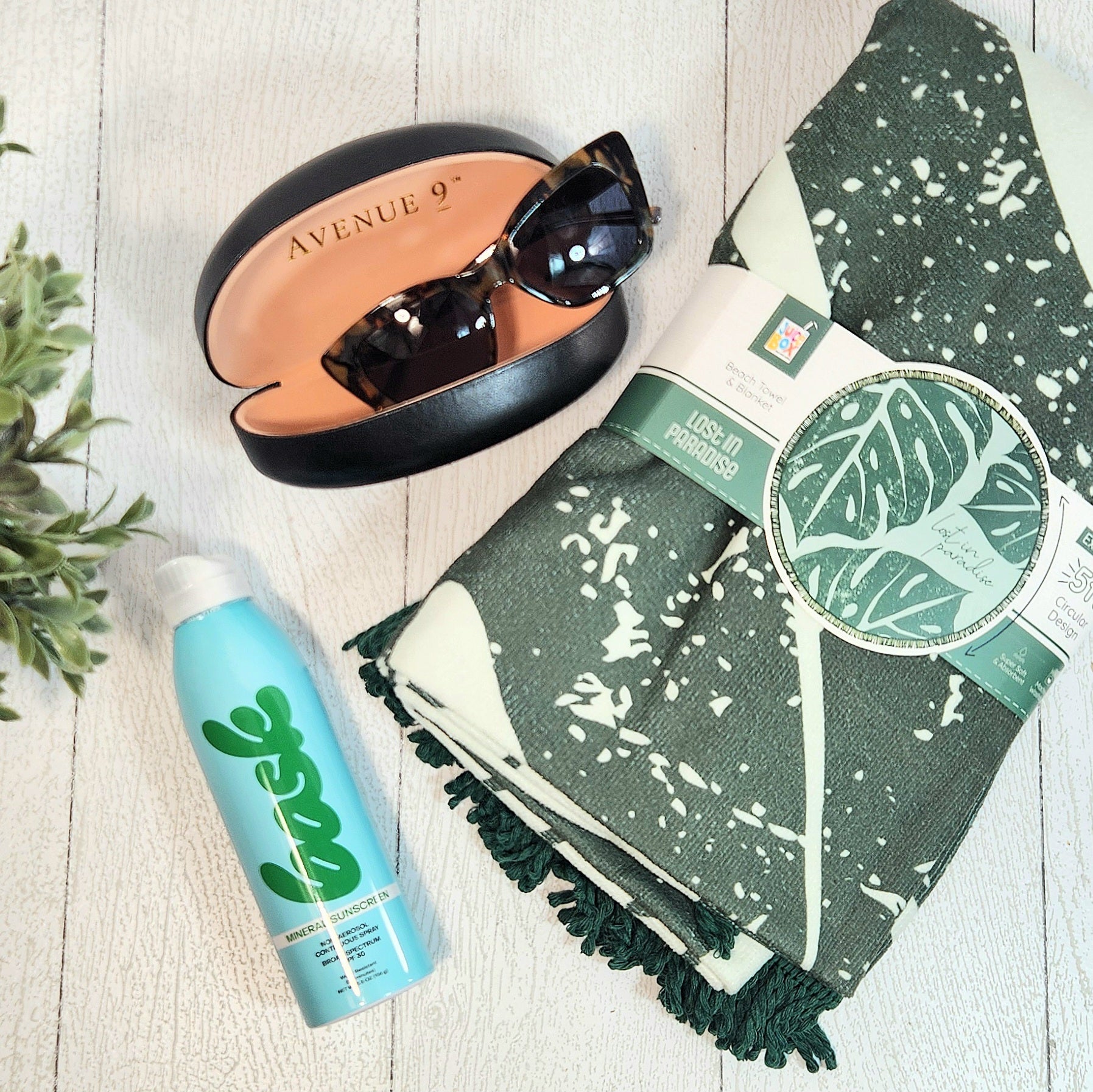 Basking in the Sun