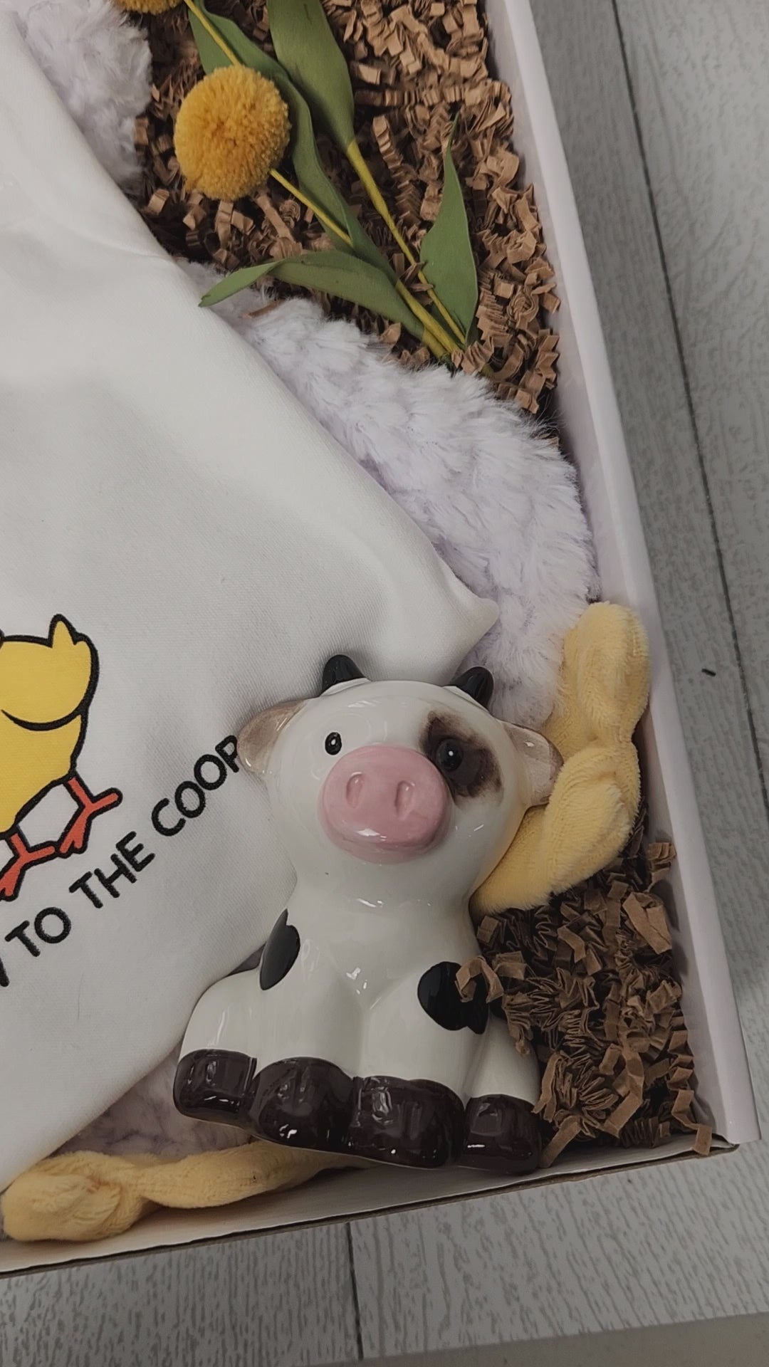 New to the Coop!